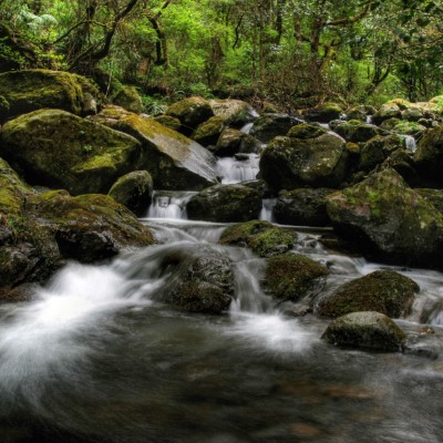 1920 x 1080 HD Wallpapers 1372